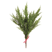 Evergreen Cedar Bundle Pick