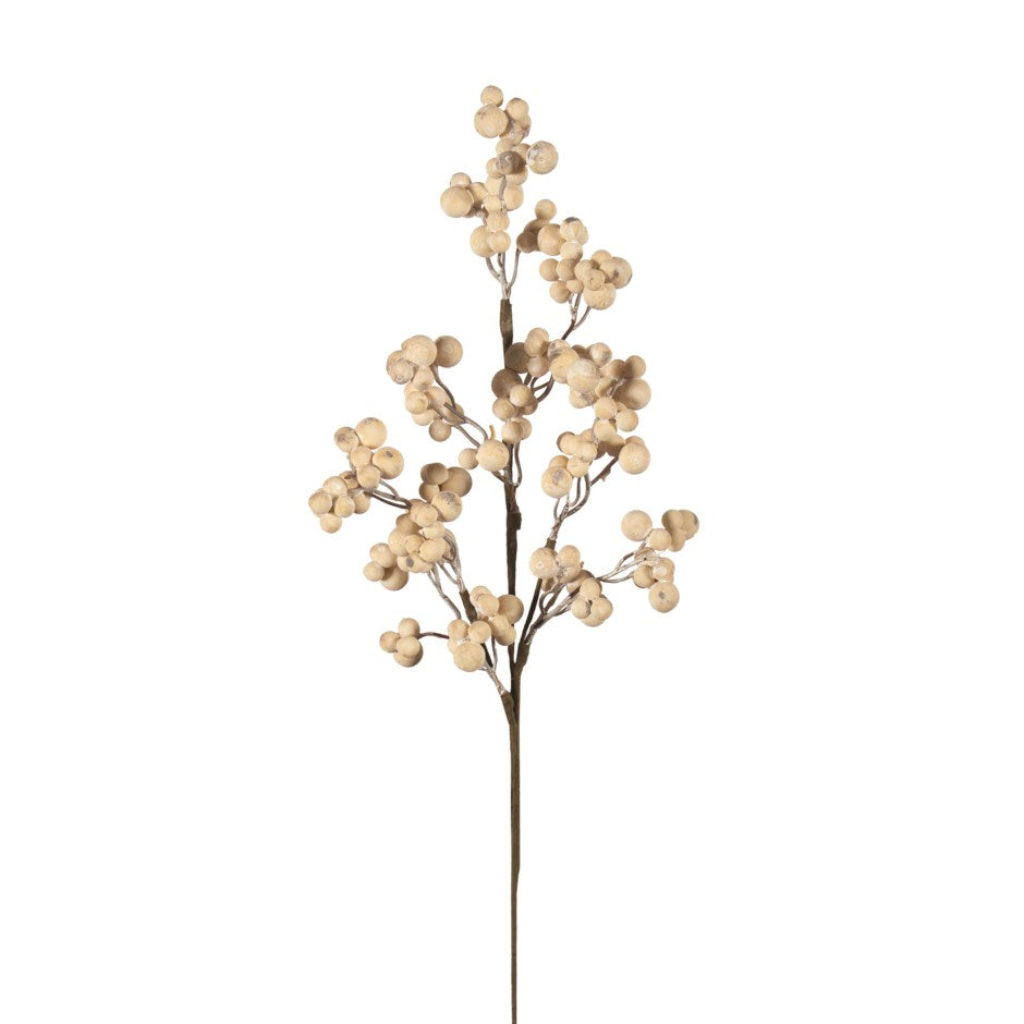Ivory Frosted Berry