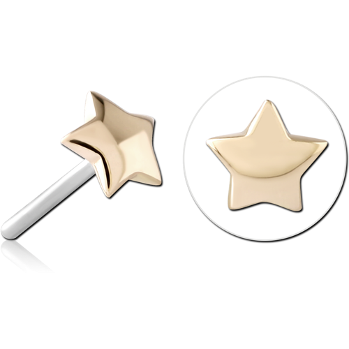 Star GOLD THREADLESS PIN